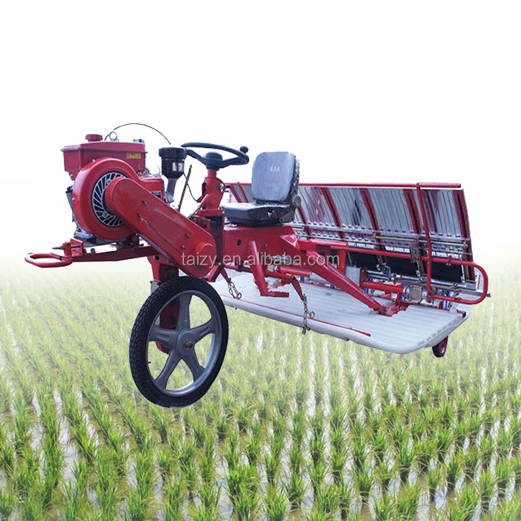 Low price rice paddy transplanter/planting machine for seedling