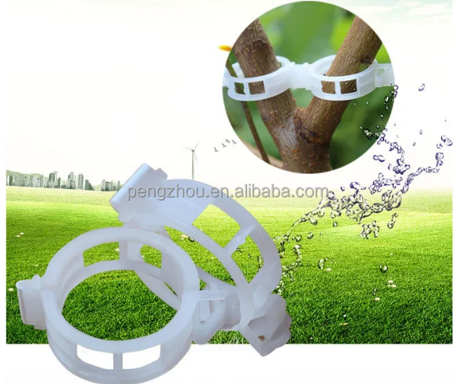 Зажимы для прививки томатов в теплице из чистого пластика