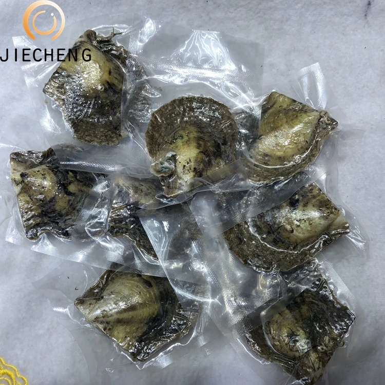 6-8mm akoya pearl oyster wholesale one green pearl oyster shell