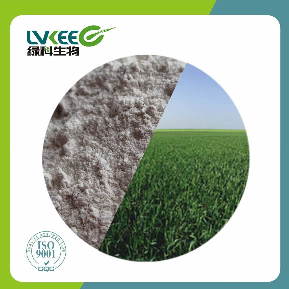 Lvkee supply high content 200 bilion cfu/g Bacillus amyloliquefaciens for agriculture product