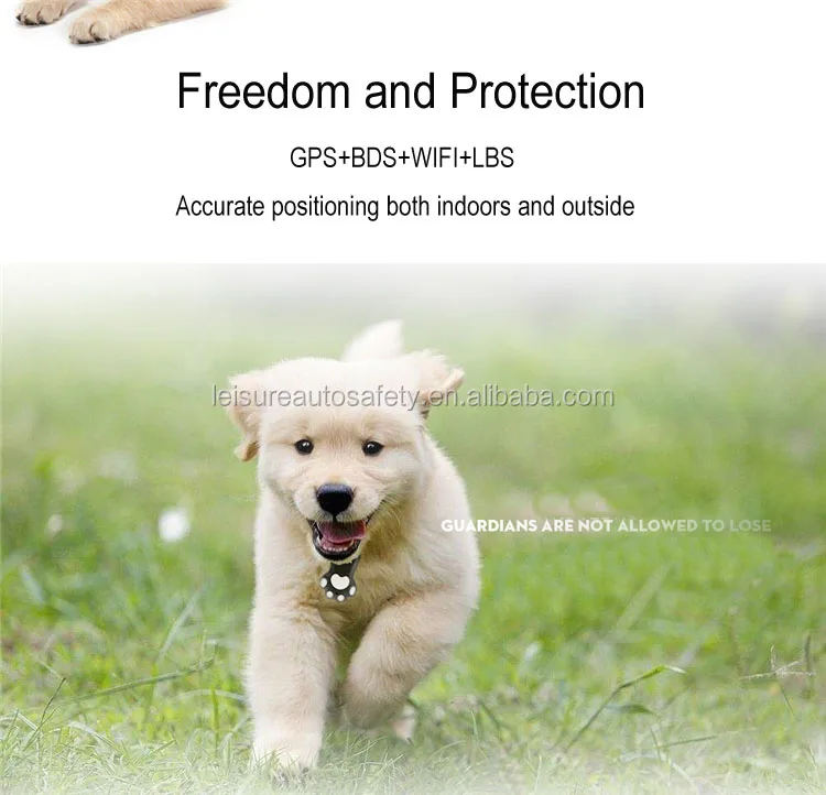 Pet mini GPS tracker for cats and dogs with over noisy DB60 alarm China supplier manufacturer