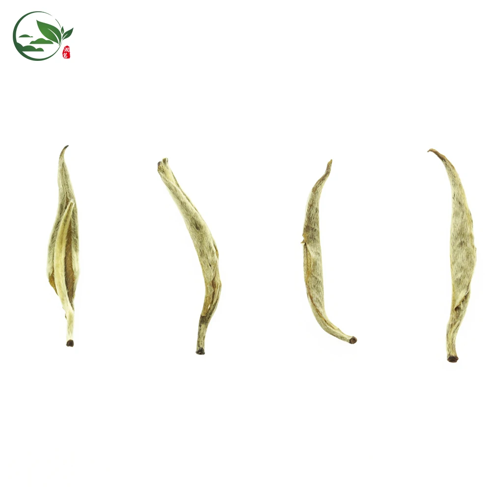 Guangzhou Certified Organic Lovely Concentrated Dried Jasmine Yinhao Green Tea Curled Leaves Dragon Phoenix Pearl Pearls in Bulk