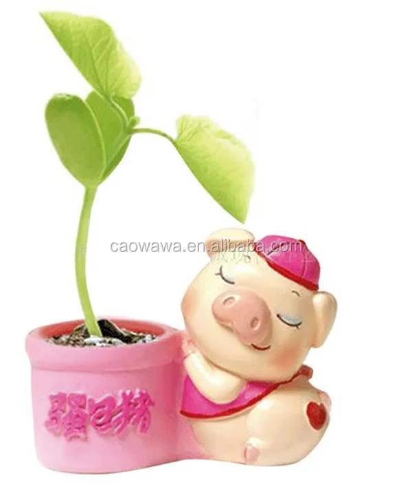 mini plant doll magic bean with pig shape ceramic pot