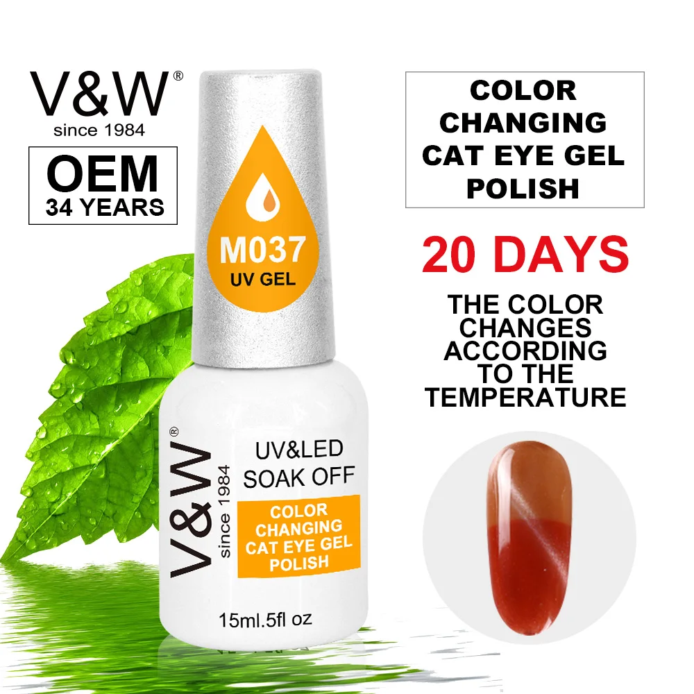 
nail supplies Super Magnet Cat eye gel polish nail art private label 