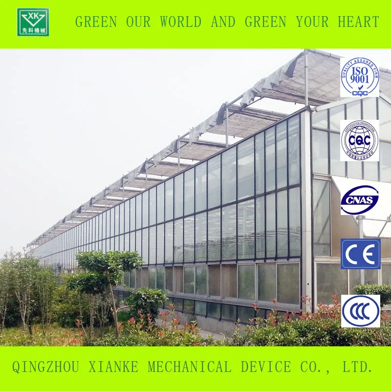 Multi-span greenhouse frame greenhouse glass agriculture greenhouse hot sale