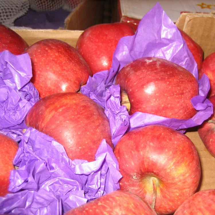 
Colorfast Color Fruit Wrapping Tissue Paper 