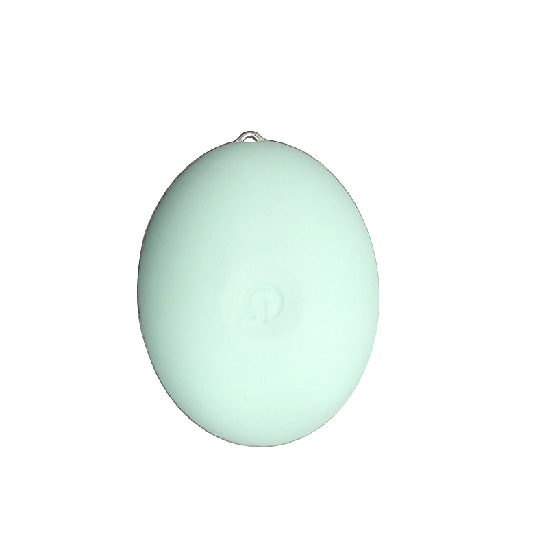 RUIXINLI Free Samples OEM Beauty Care Sonic Electric Silicone Facial Cleansing Brush