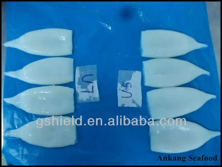 IQF high quality size u5 u7 u10 frozen squid tube