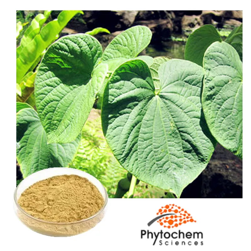 wholesale herbal extract from kava root reducing stress kava extract powder
