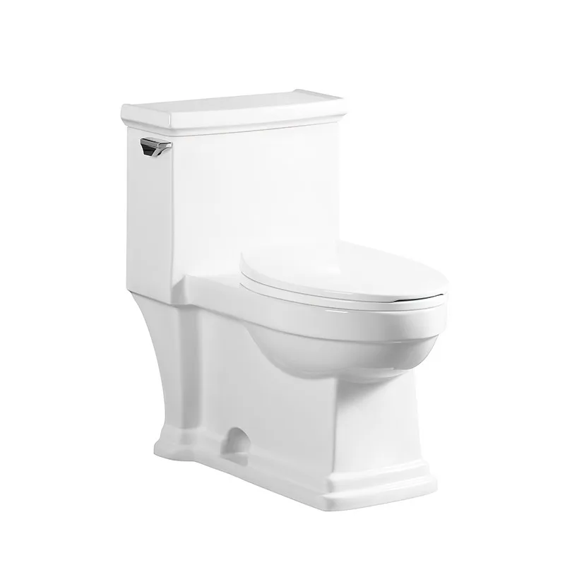 Washdown Floor Mounted Siphonic Flushing One Piece Composting Toilet Waterless