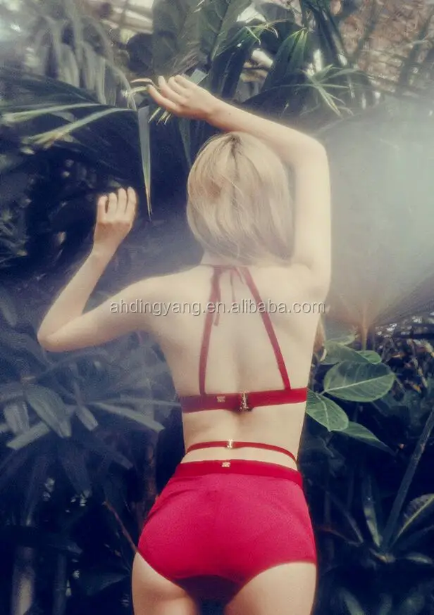 M953 Runwaylover 2016 ladies wine red lace transparent three-dimensional embroidery bralette set bra lingerie