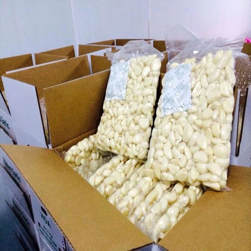
factory supply 100% Fresh Peeled Garlic with high quality and best price 