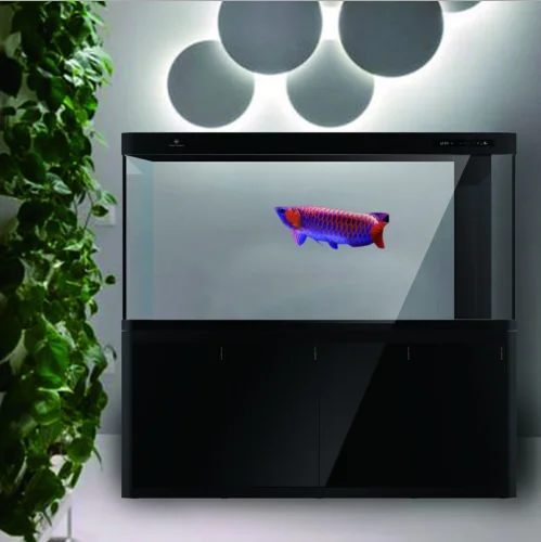 
Ultra Clear Glass Arowana Fish Aquarium AND Series 