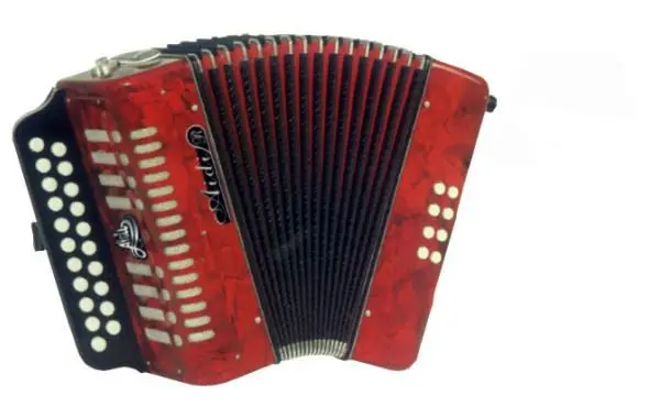 Popular Cheap Price Educational Children Button Accordion