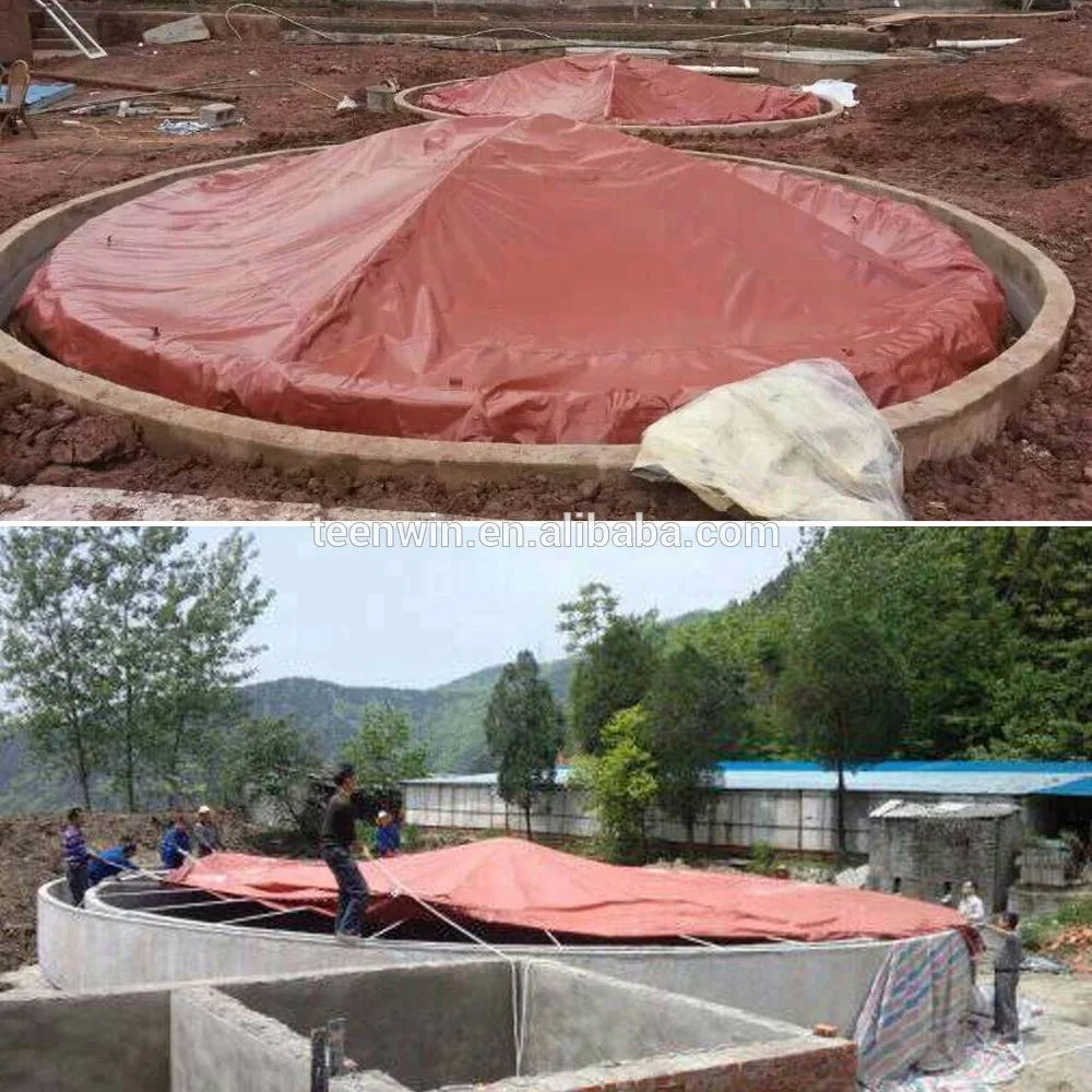 Biogas plant for waste