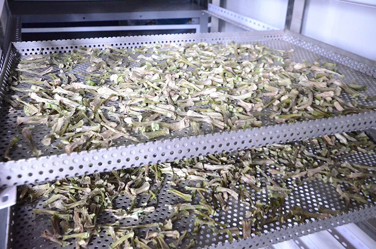 
High Efficiency Electric Hot Air Bamboo Shoots Drying Chamber 