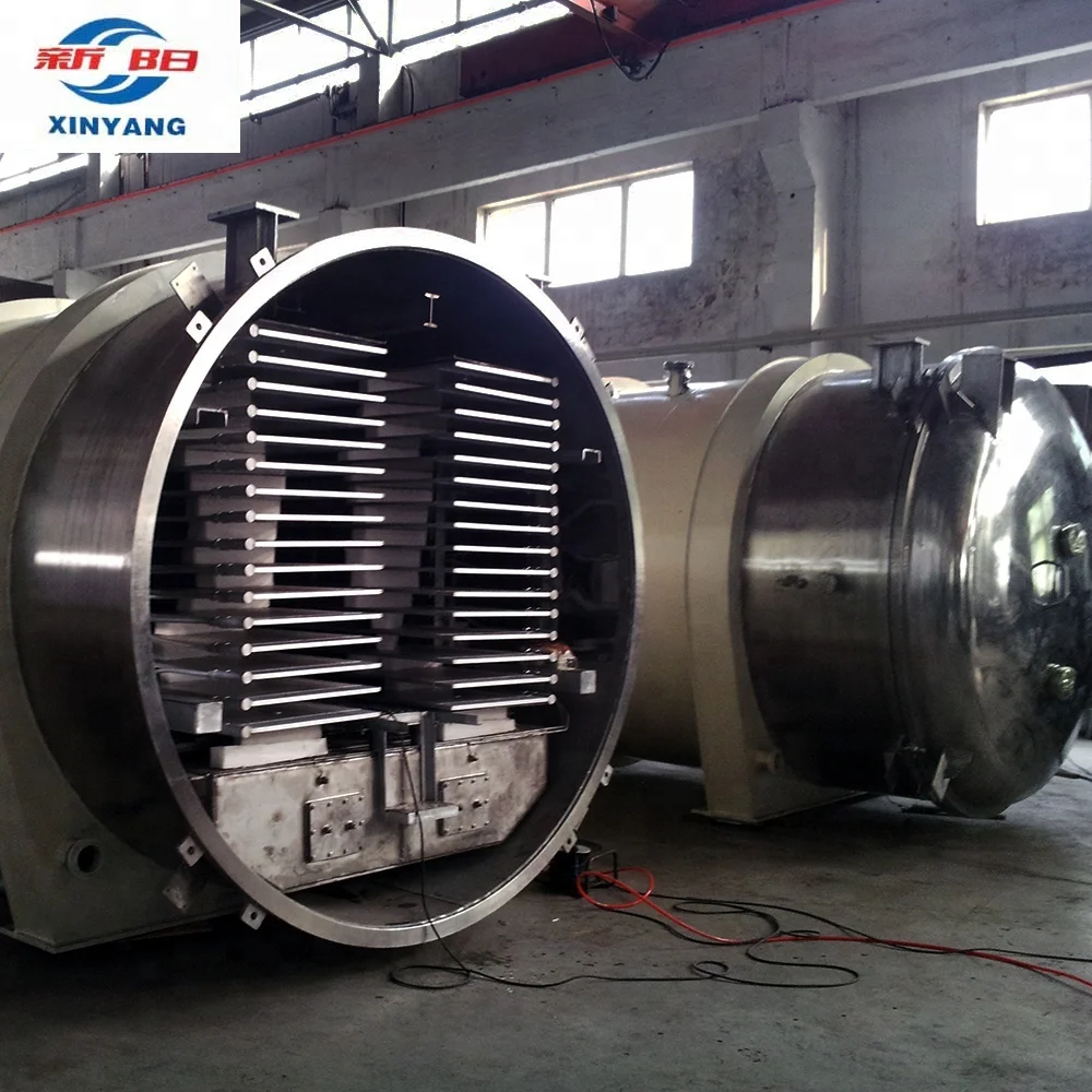 Large volume vacuum continuous jackfruit arbutus avocado freeze dryer for fruits