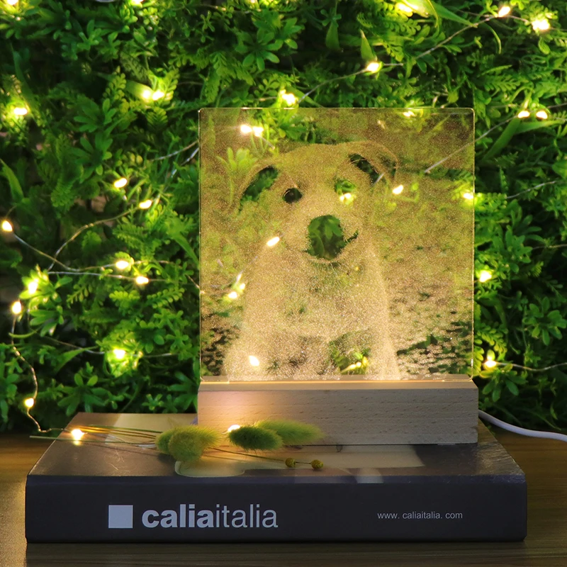 Customization Wooden Base For Acrylic 3D LED Night Light Animal