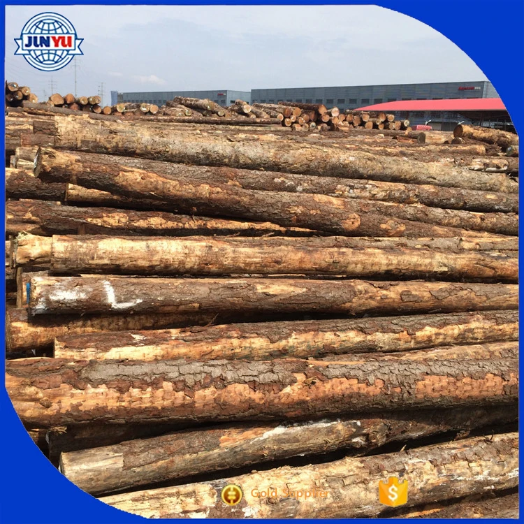 radiata pine advantages and disadvantages advantages of radiata pine