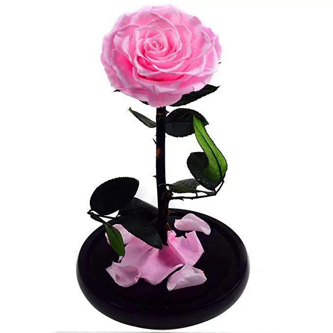 Wholesale eternal luxury roses real preserved flower roses in glass dome