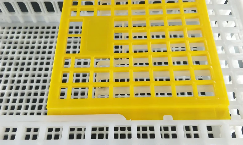 Agricultural plastic crates for chicken transportation crate , live chicken transport cage