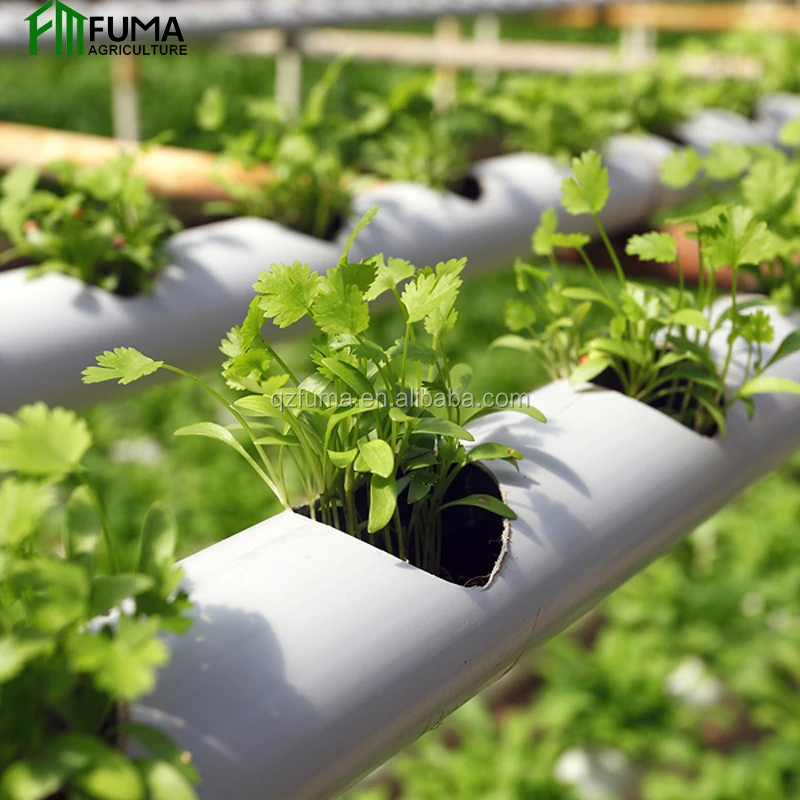 Low cost commercial smart greenhouse fodder hydroponic grow systems for sale