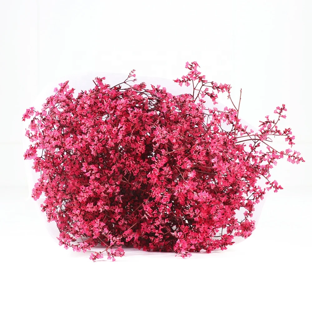 Лидер продаж, сохраненный цветок ЛИМОНИЯ Caspea высокого качества для украшения дома или хобби