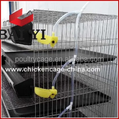 Good Quality ! Low Price ! Galvanized Quail Cage For Laying Hens And Quail Egg Boxes( Factory Price )