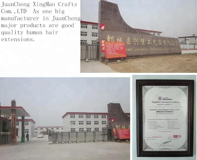 New Year Gift Free Sample where can i buy bundles of human hair brazilian beauty supply store hair for cheap