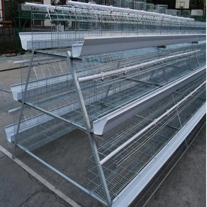 Efficient and durable chicken cage