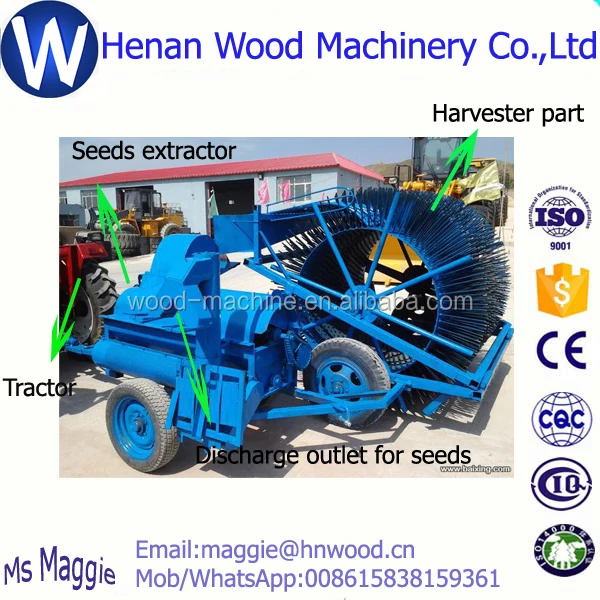 Harvesting+extracting melon seeds extractor/pumpkin seeds processing machine/pumpkin seeds extractor WhatsApp 008615838159361