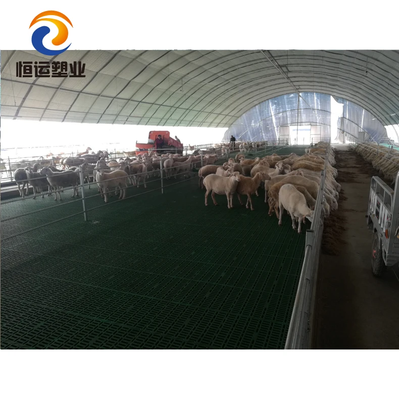 plastic goat flooring system plastic slatted flooring for goat wholesale price