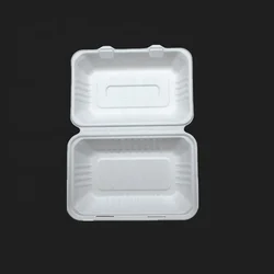 Recyclable molded sugarcane pulp disposable food container 9x6 box