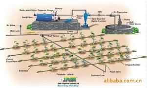 
[Customized]Agricultural automation system greenhouses, greenhouse monitoring solutions based on Circle 6000 software 