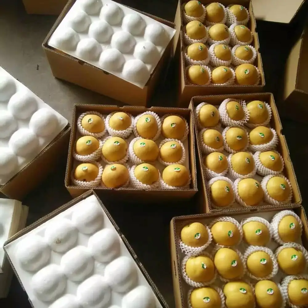 High quality pear in bulk of 300-500g