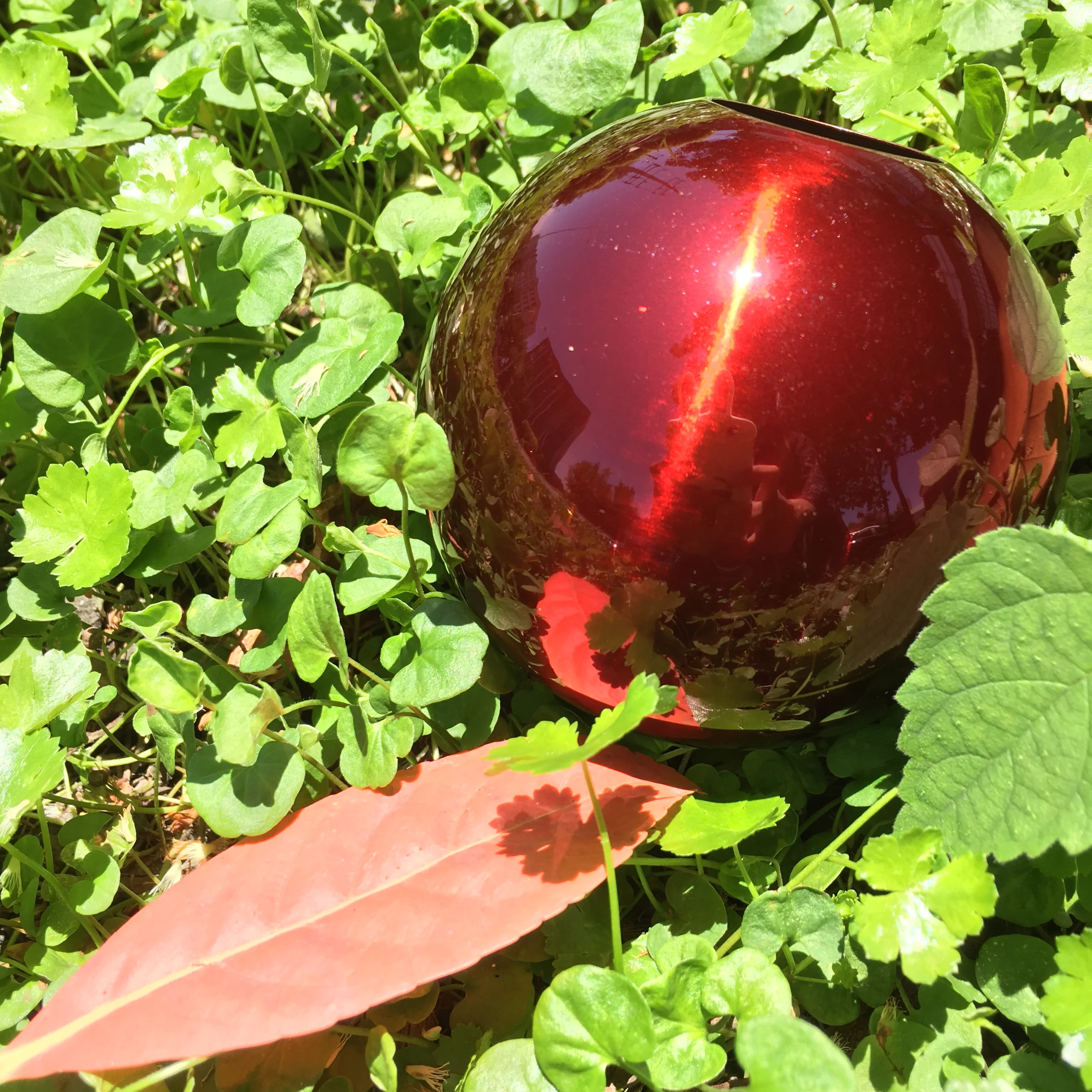 2021 Новое прозрачное конфетно-желтое эпоксидное полиэфирное порошковое покрытие, производитель в Китае