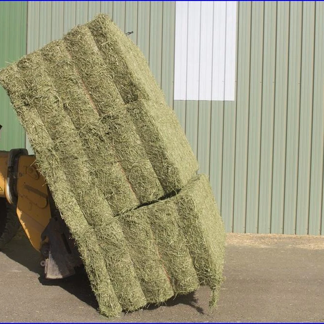 mix of alfalfa and wheat straw