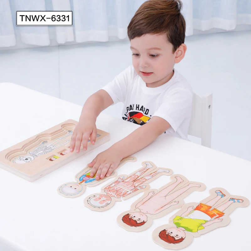 New design educational toys body structure wooden puzzle toy human body cognition puzzle