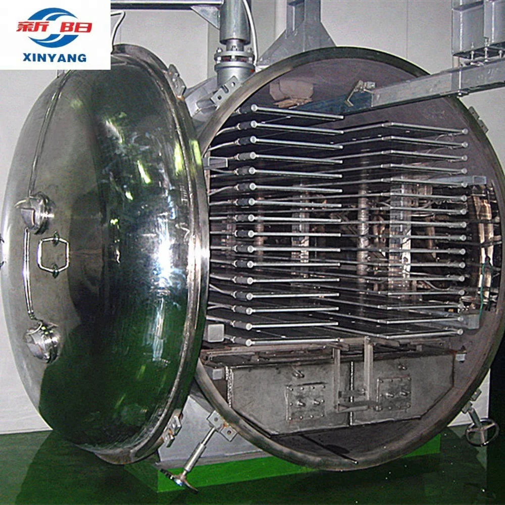 Coconut Freeze Dried Machine / Vacuum Freeze Dryer / Lyophilizer
