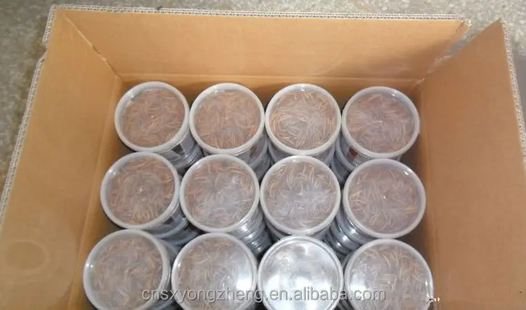 379311592_13643534[1]