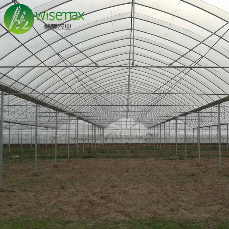 Multi span winter Strong steel frame plastic vertical wind tunnel greenhouse