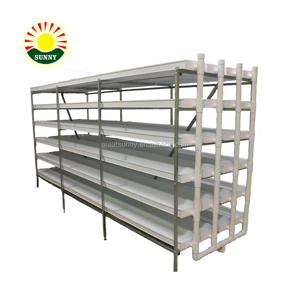 Машина для гидропонного корма животных на продажу/система для гидропонного корма/машина для разведения ячменя