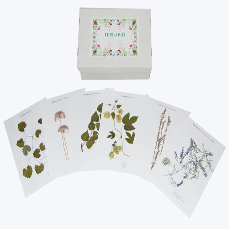 Биологические учебные пособия гербарий дикие растения