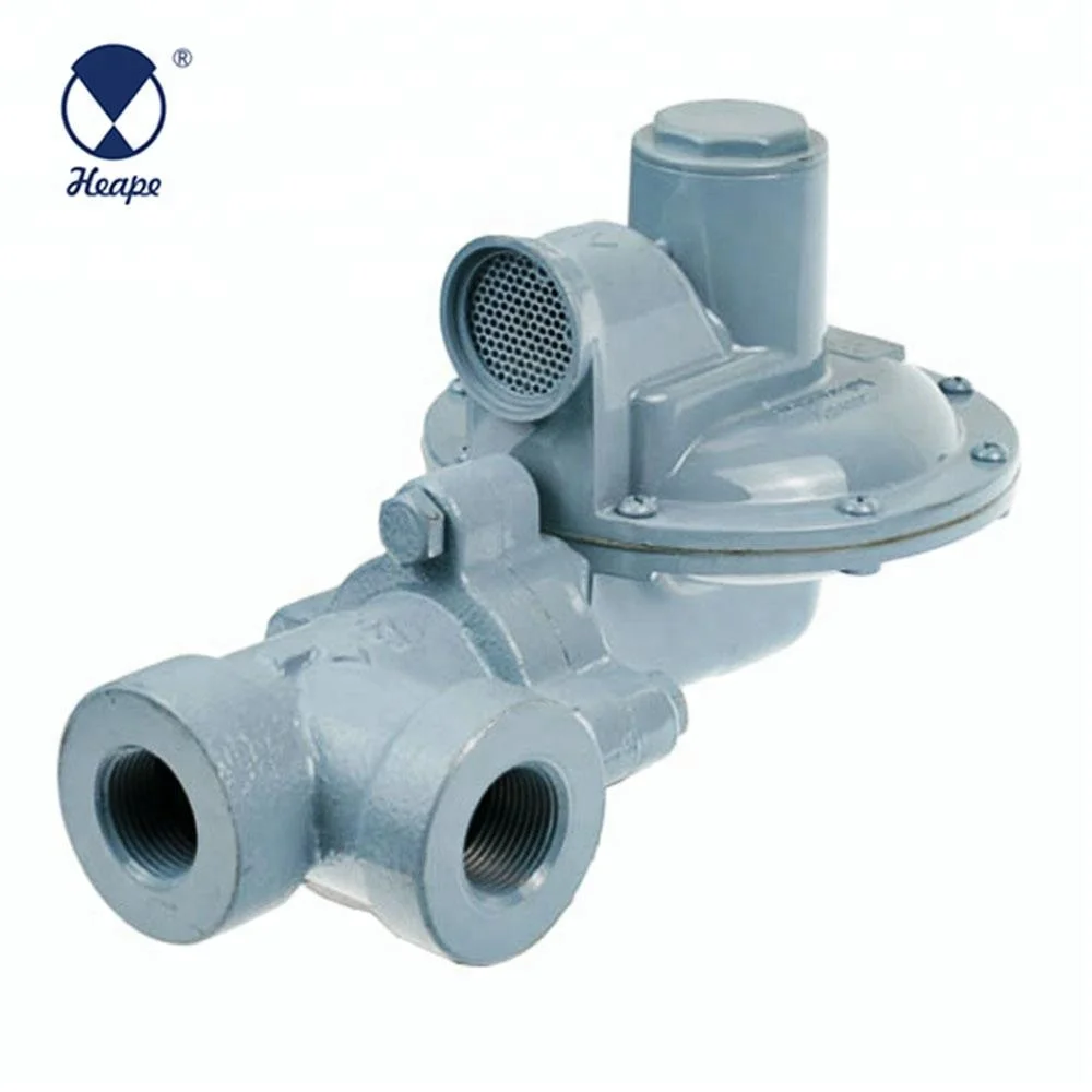 
HEAPE 1 Bar Angle Natural Gas Pressure Regulator 