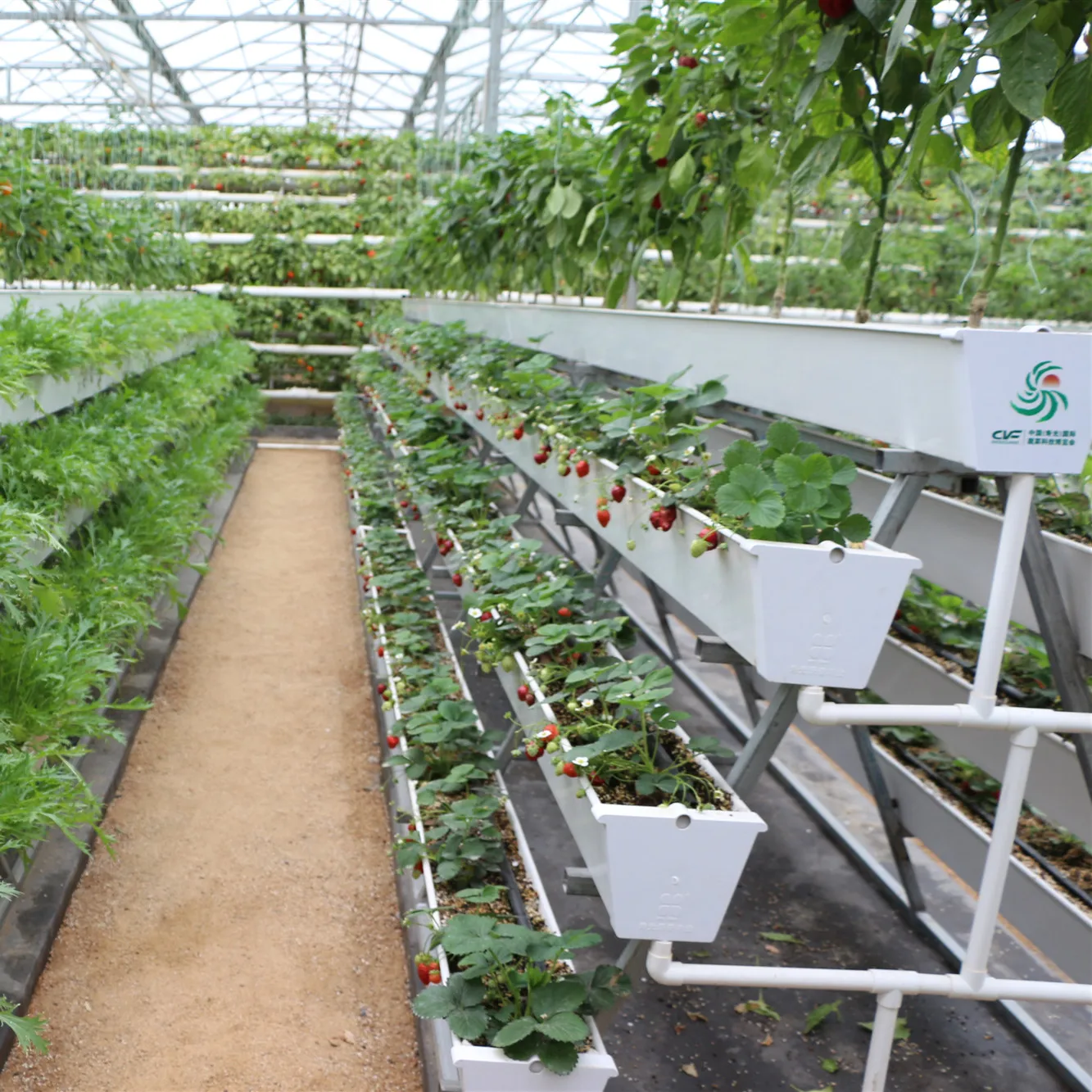 Venlo Type Double Layer Glass Greenhouse with Hydroponic System for Agriculture/Tourism Planting/Strawberry Picking Tourism