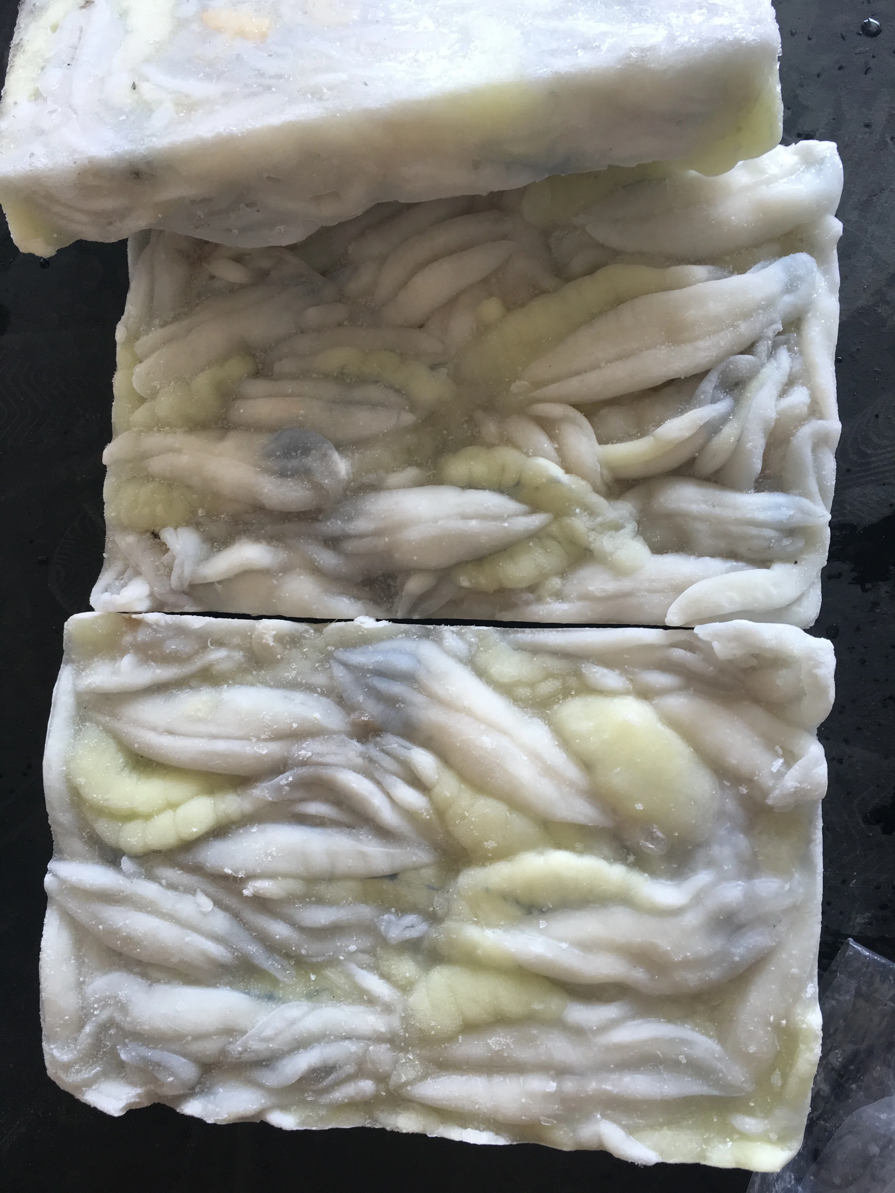 illex Argentine squid egg good quality