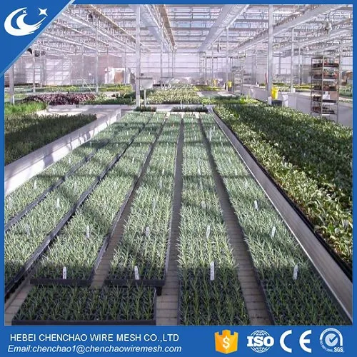 Movable Greenhouse Seeding Nursery Bed Growing Tables for Commercial plants Seedbed System