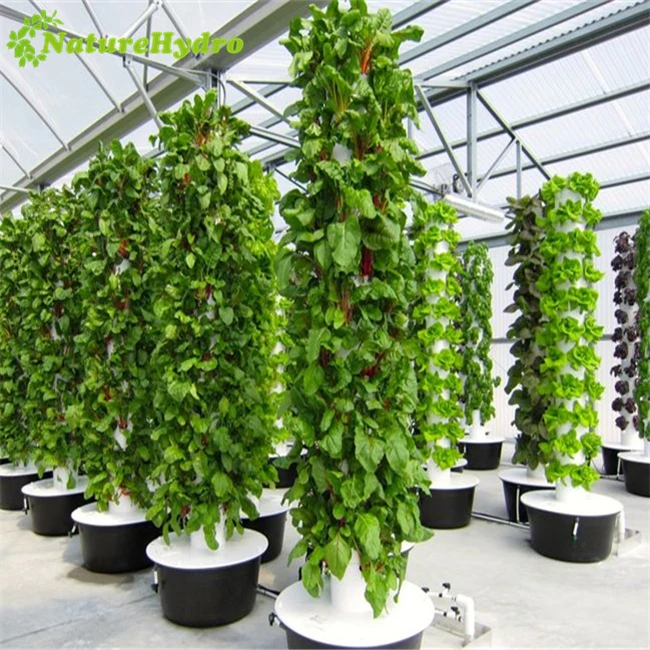Commercial greenhouse aeroponic tower garden vertical farming