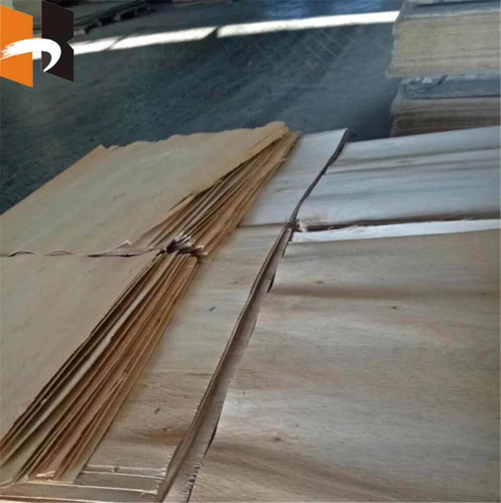 
100% hardwood film faced eucalyptus plywood 
