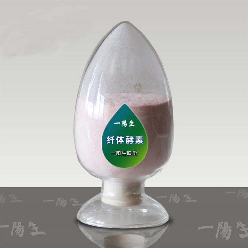 
Food Enzymes from fruit and vegetable fermentation extraction 